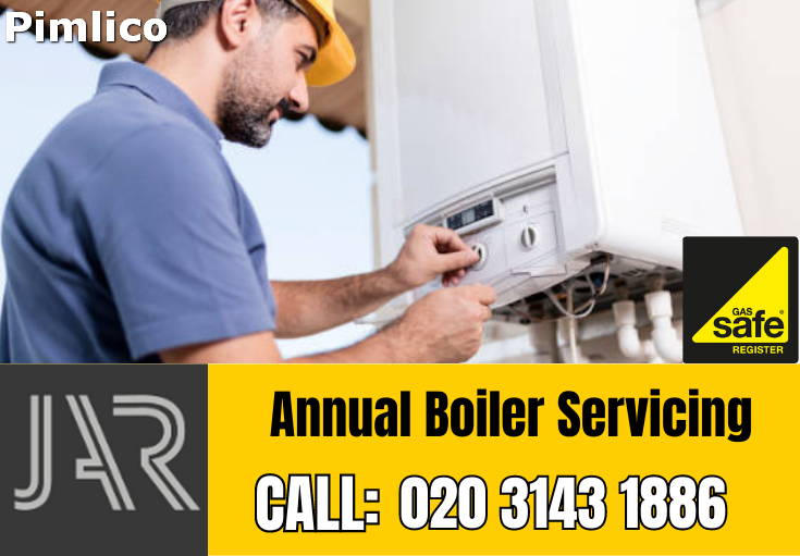 annual boiler servicing Pimlico